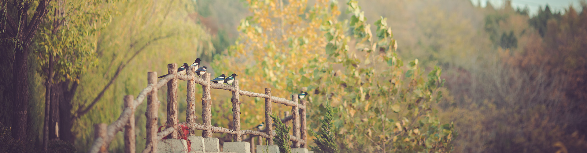 五大專利技術(shù)